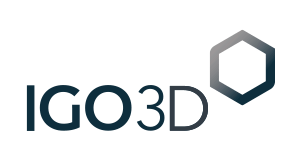 IGO 3D Logo - BEDROCK 3D